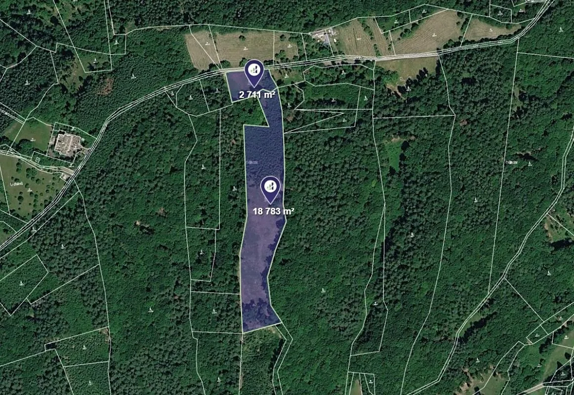 Prodej lesa 21494 m²